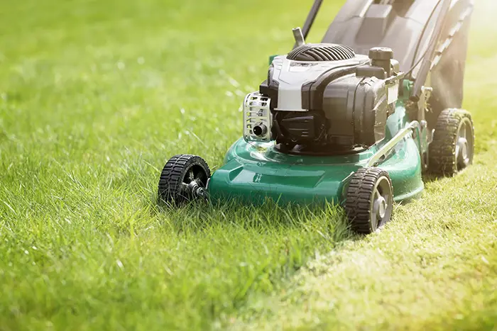 Can You Mow Wet Grass in Burbank, CA