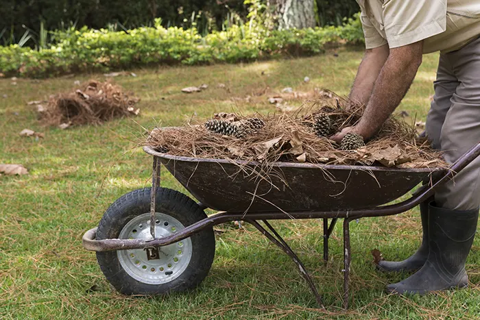 How To Clean A Backyard in Burbank, CA