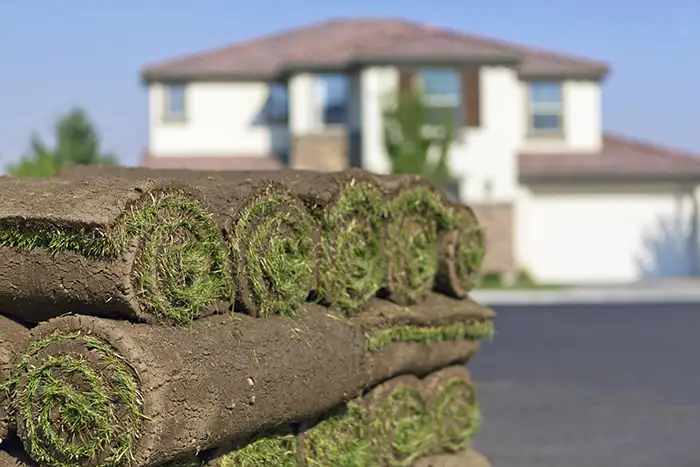 How Long After Installing Sod Can You Walk On It in Burbank, CA