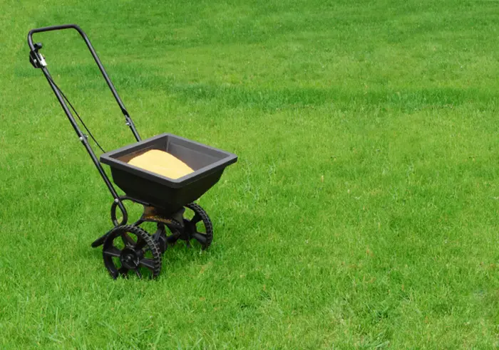 How Often Should You Fertilize Your Lawn in Burbank, CA