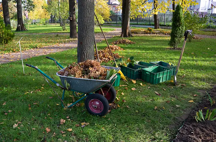 How to Clear a Yard Full of Weeds in Burbank, CA