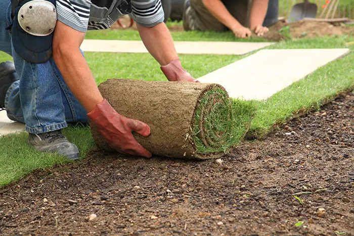 How to Lay Sod Over Existing Lawn in Burbank, CA