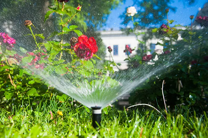 Lawn Irrigation Installation 