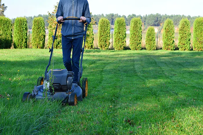 Lawn Mowing in Burbank, CA