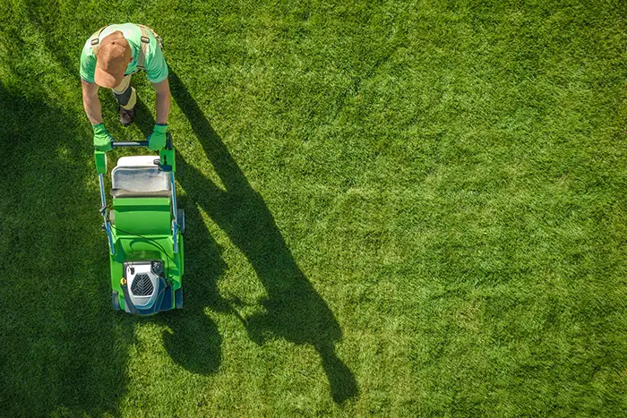 Lawn Mowing in Burbank, CA