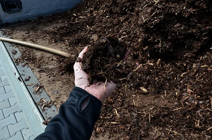 Mulching in Burbank, CA