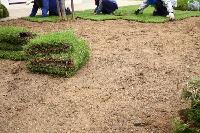 Sod Installation in Burbank, CA