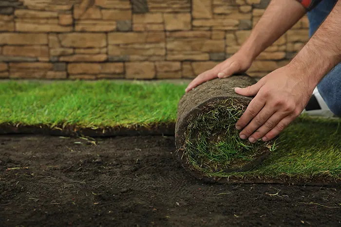 Sod Installation in Burbank, CA