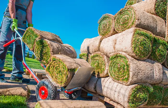 Sod Installation in Burbank, CA