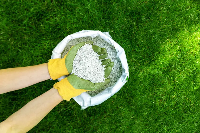 When Is the Best Time to Fertilize Your Lawn in Burbank, CA