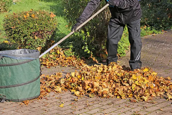 Yard Cleanup in Burbank, CA