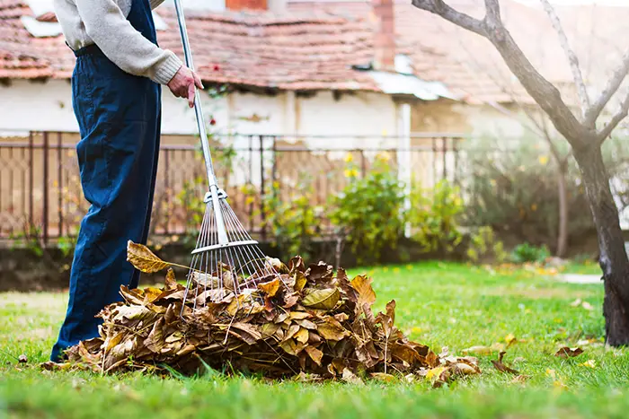 Yard Cleanup in Burbank, CA