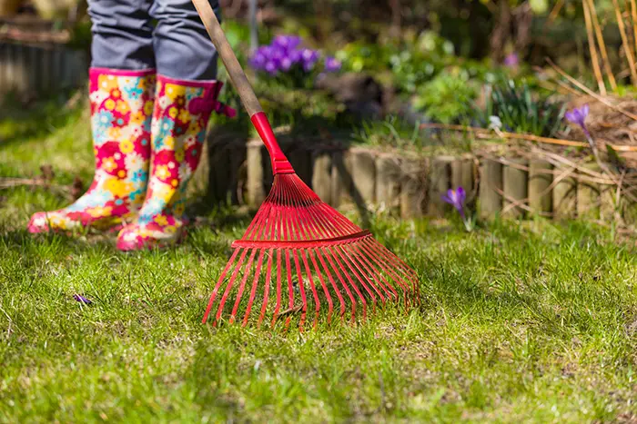 Yard Cleanup in Burbank, CA